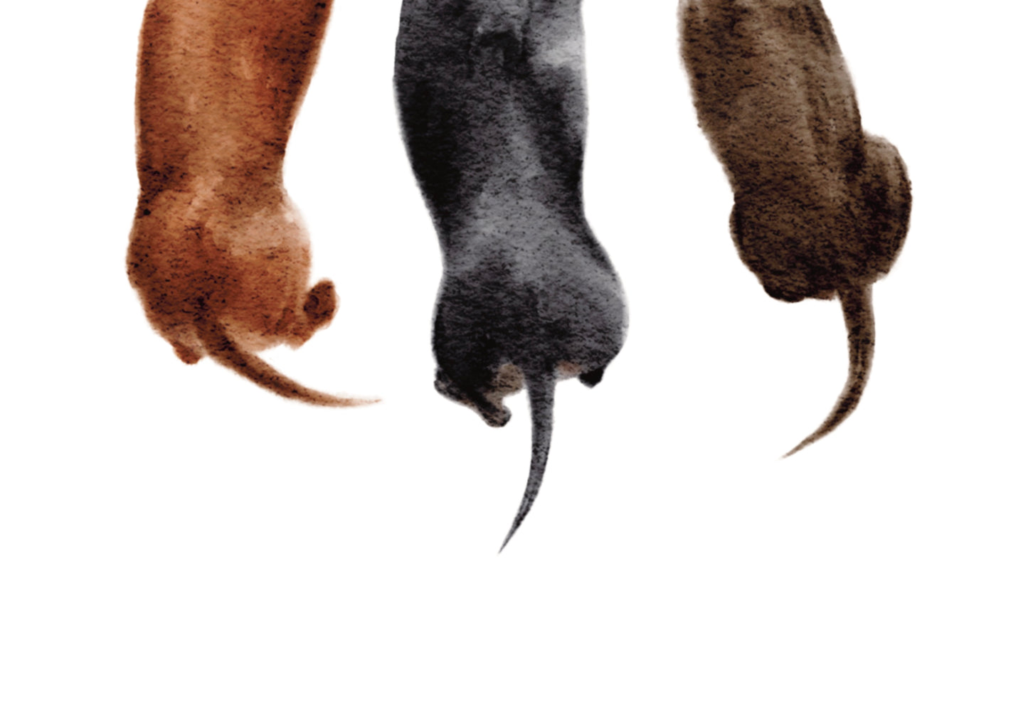 Little Bud Studio - Gift Card