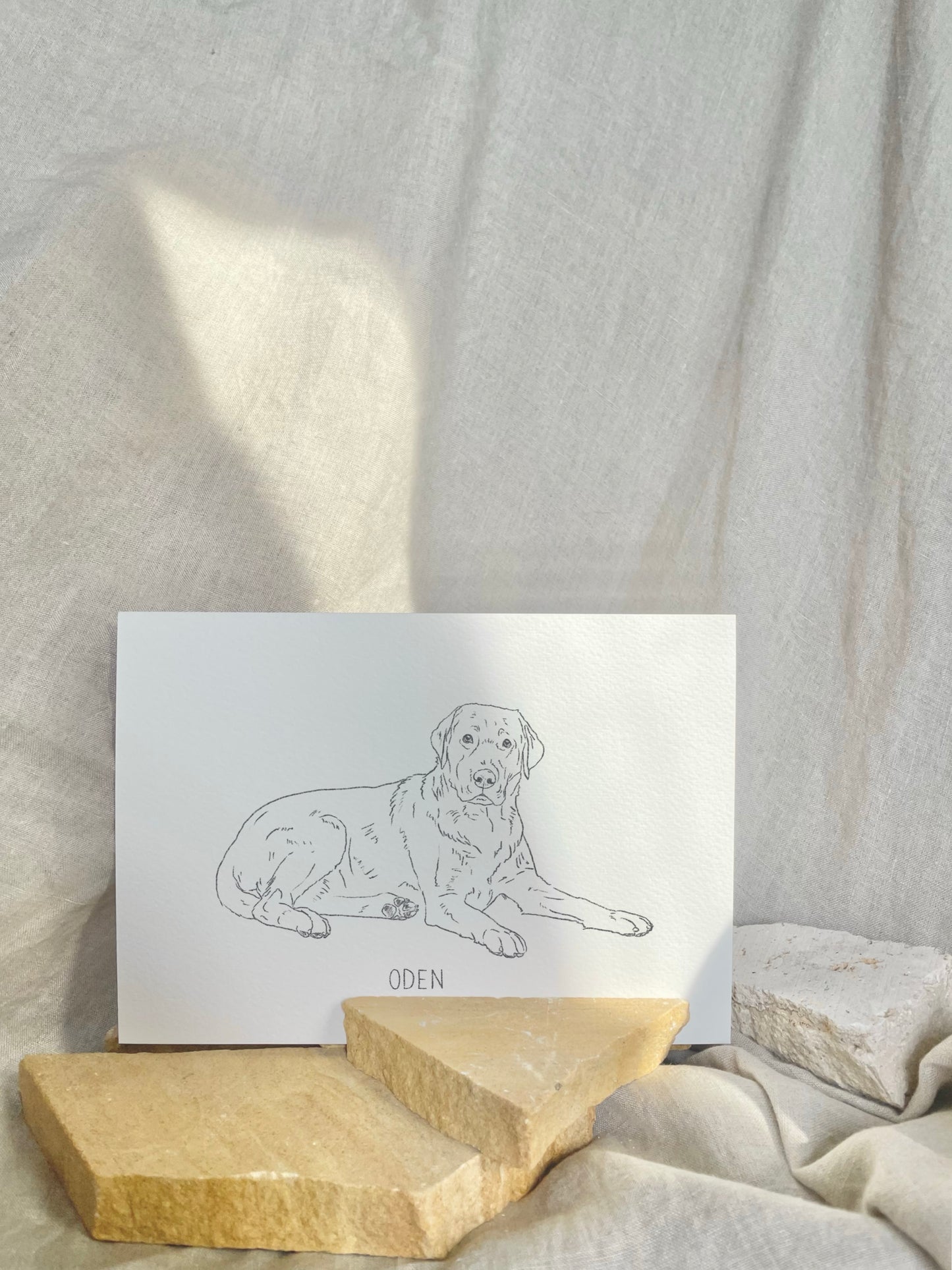 Pet Portrait - Line Drawing