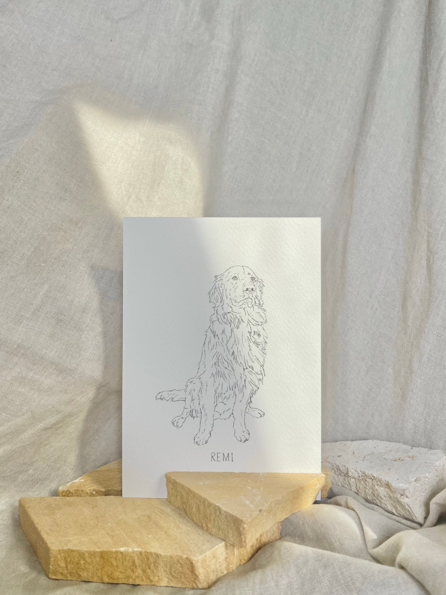Pet Portrait - Line Drawing
