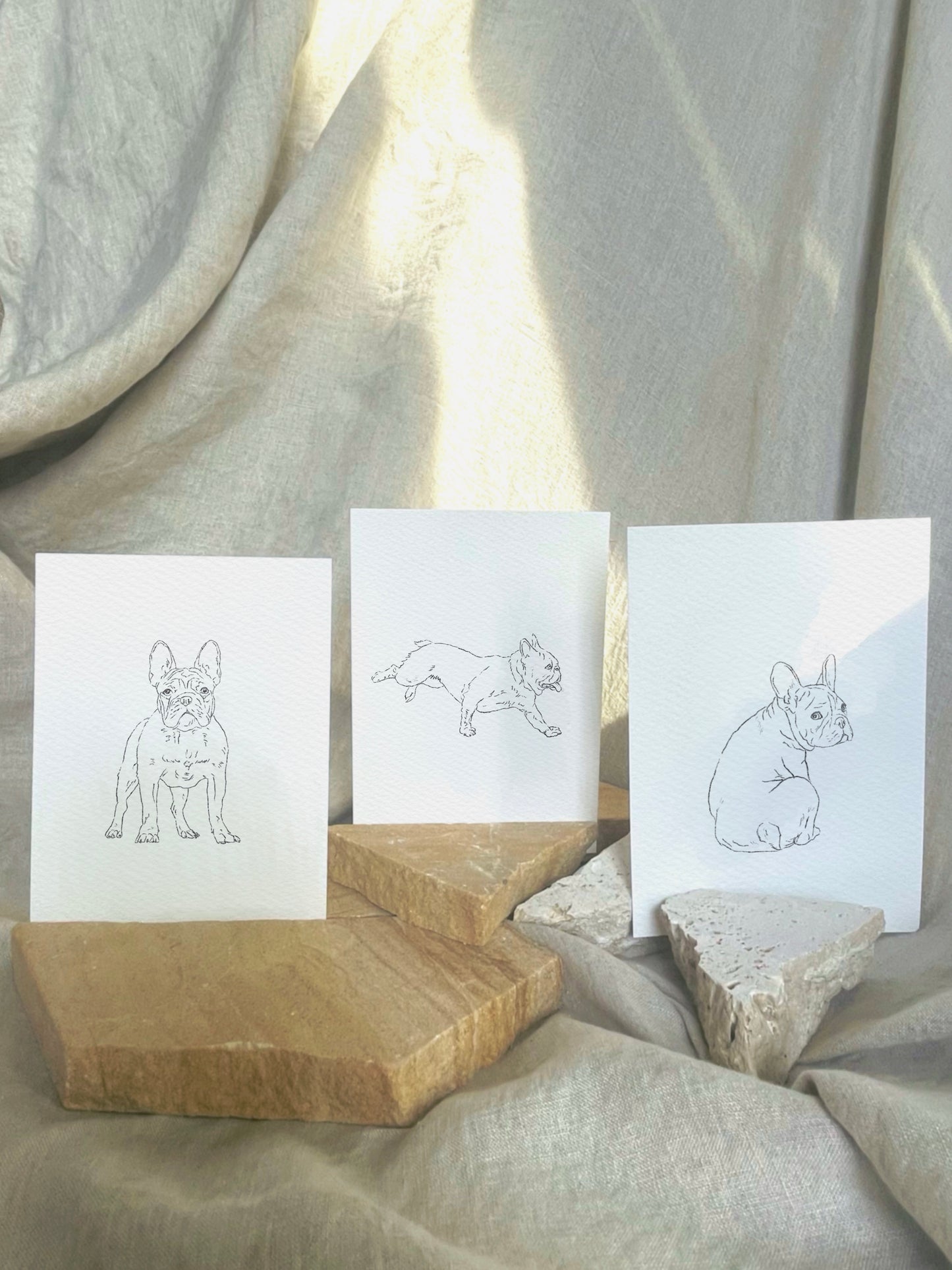 Pet Portrait - Line Drawing