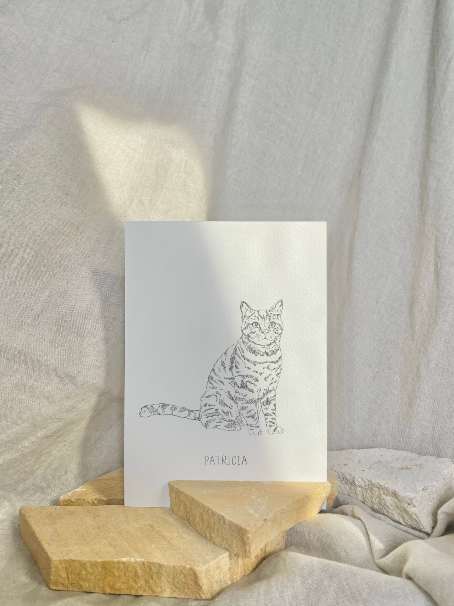 Pet Portrait - Line Drawing