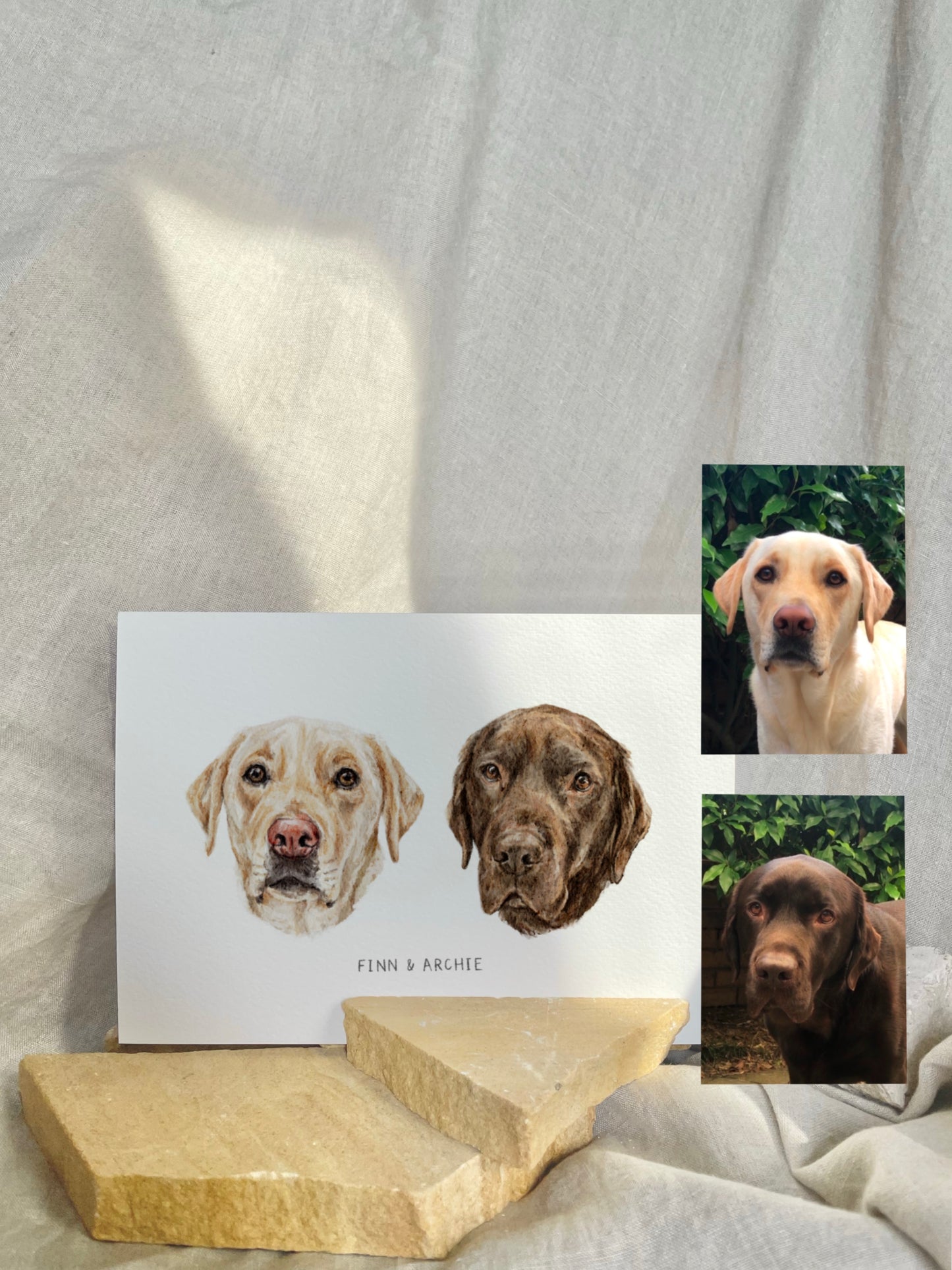 Pet Portrait