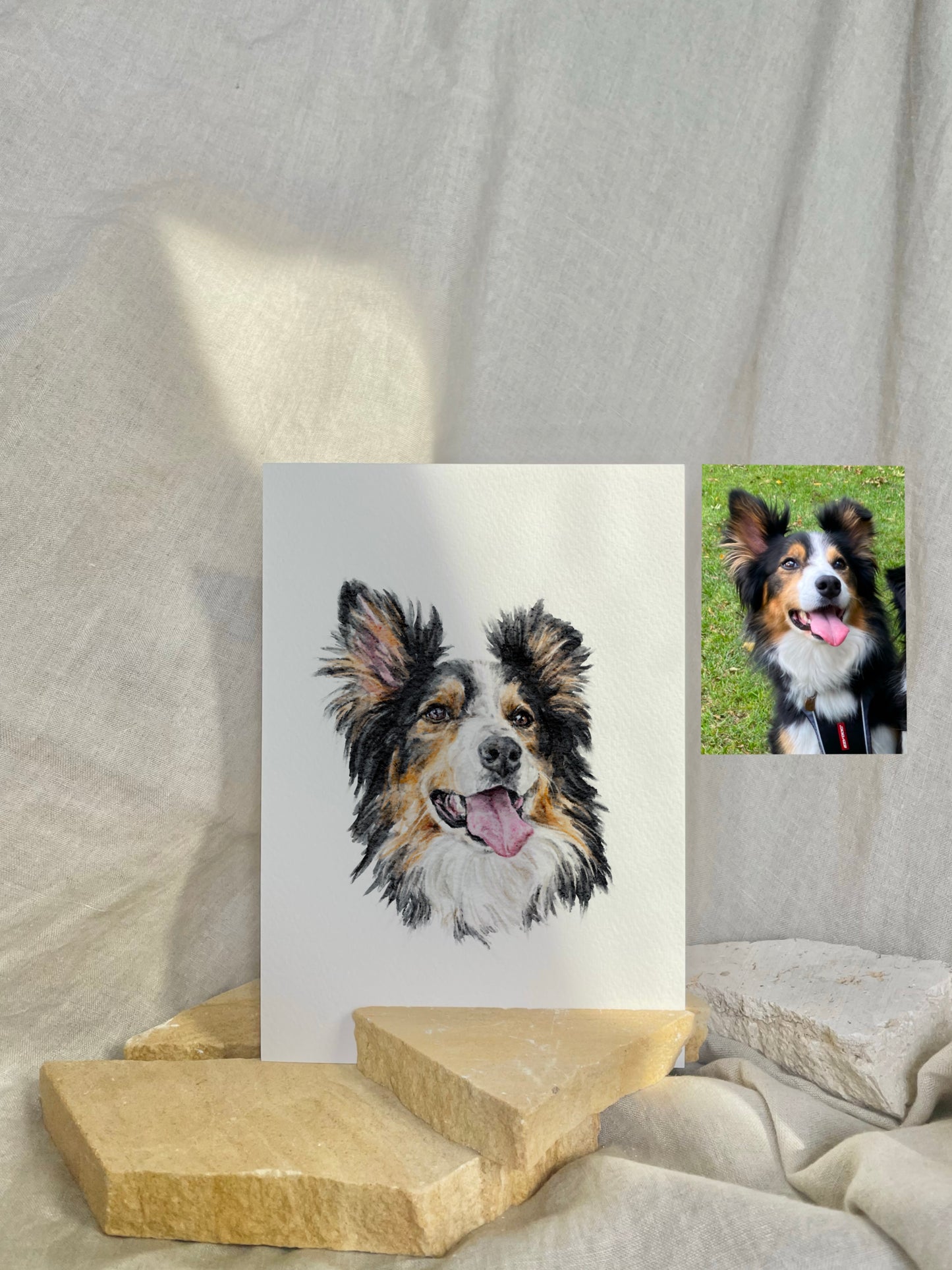 Pet Portrait