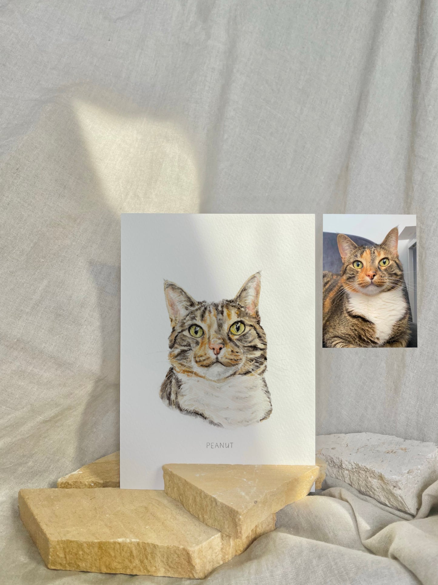 Pet Portrait