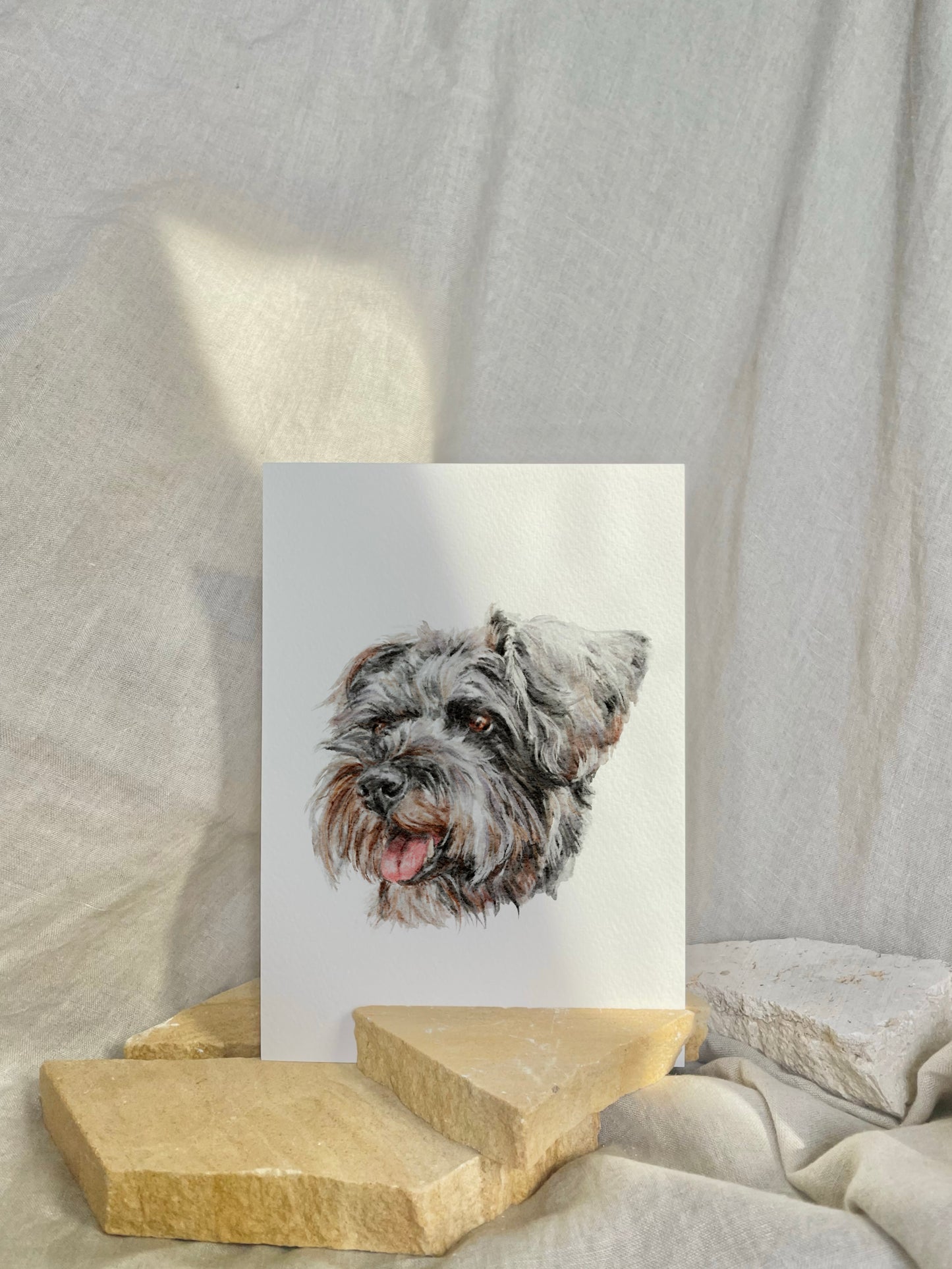 Pet Portrait